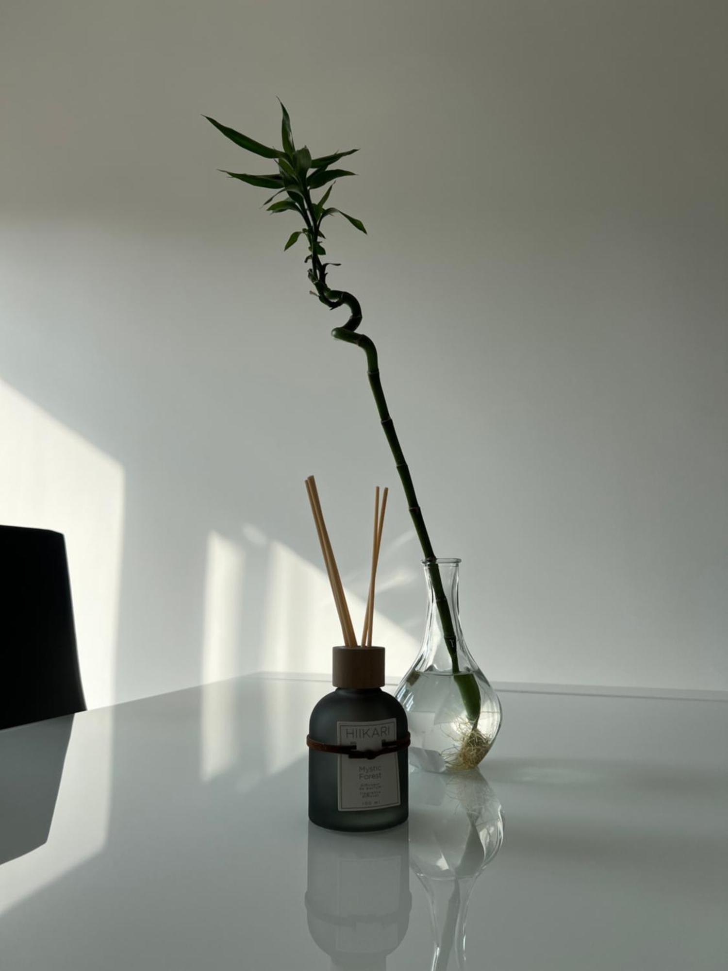 Baru'S Home San Remo Zewnętrze zdjęcie